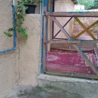 سوییت جنگلی