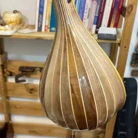 سه تار حرفه ای با مهر پالیزدار|سازهای سنتی|کرمان, |دیوار