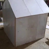 سگ شیتزو ماده|سگ|کرمان, |دیوار