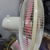 پنکه رومیزی SUNNY|پنکه و تصفیه‌کنندهٔ هوا|تهران, مسعودیه|دیوار