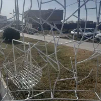 حفاظ شاخ گوزنی وگهواره ارسال هم داریم