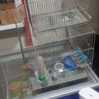 دوتا قفس پرنده کوچک و بزرگ