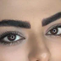 میکروبلیدینگ ،بنمژه ،شیدینگ لب|خدمات زیبایی و سلامت|تهران, خلیج فارس|دیوار