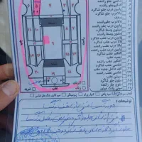 پژو مدل ۸۹ دگانه سوز