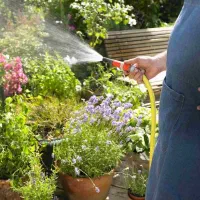 استخدام کارگر باغبانی