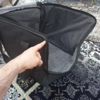 هات بگ بزرگ ۵۰ در ۵۰