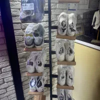 خشکشویی دورهمی|خدمات نظافت|تهران, آشتیانی|دیوار