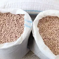 لوبیا‌چیتی‌ اقلید‌،سده‌،لیزرشده‌ ،قیمت‌ ۳۶۰‌