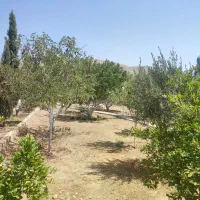 زمین-باغشهر-ویلا-سیاخ-دارنگون-فاز-یک-و-دو-2800متر