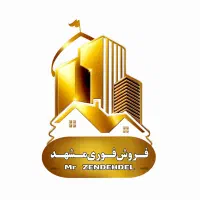 کارمندفروش هلدینگ حرفه ایی