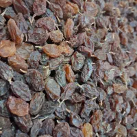 کشمش افتابی و تیزابی پلویی و اجیلی