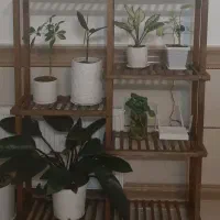 استندگل