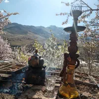 قلیون دوسیب