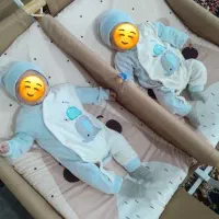 گهواره دوقلویی