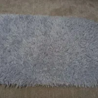 پادری