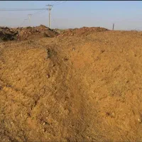 فروش کود میش و بره بدون تخم علف نیسانی ۸۰۰