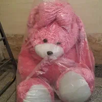 عروسک شاسخین
