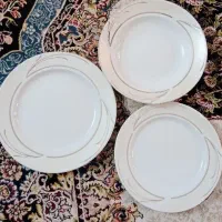 ظروف چینی