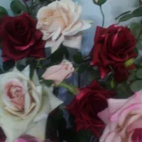 گل‌های زیبای رز مصنوعی در چهار رنگ باگلدان|گل مصنوعی|رباط‌کریم, رباط‌کریم|دیوار