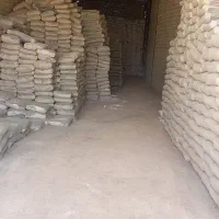 سیمان درود۲۶۵۰۰۰تومان