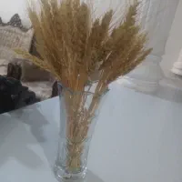 تنگ ماهی|گل مصنوعی|نیشابور, سرآب کوشک|دیوار