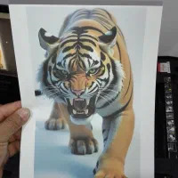 پرینتر اپسون رنگی A3 مدل ۱۴۳۰مجهز به wifi|پرینتر، اسکنر، کپی، فکس|مشهد, شهید علی محمدی|دیوار