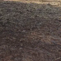 زمین کشاورزی