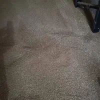 2 تن گندم دانه بلند آذردو تمیز