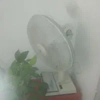 پنکه پارس خزر سالم