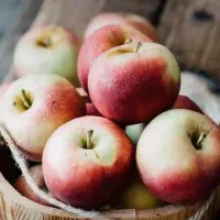 نظافت منازل - راه پله - مراقبت از سالمند