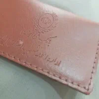 مدارک مهدی محمودی گمشده