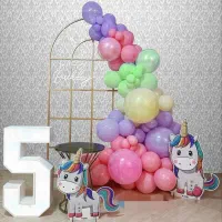 بادکنک آرایی حرفه ای اصفهان