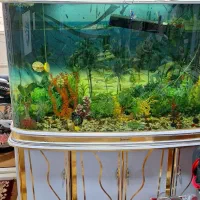 اگواریوم بالوازم برقی گل گلدون