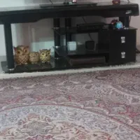 میز تلویزیون