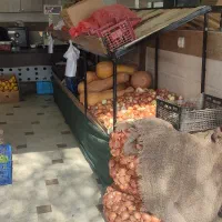 میوه فروشی|فروشگاه و مغازه|گلبهار, شهر جدید گلبهار|دیوار