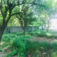 1000هزار-متر-باغ-ویلا-قدیمی-شهریار-زیرقیمت-بازار