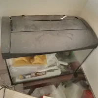 ۳عدد اکواریوم+مانستر چانا سرماری پمپ هوا