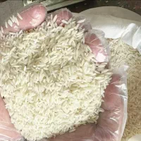 برنج هاشمی درجه یک فوق اعلاء معطر نو
