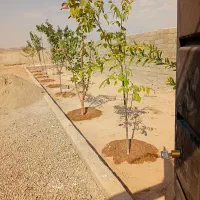 باغچه چهار دیواری انجم آباد فرارت رباط کریم شهریار|فروش زمین و ملک کلنگی|رباط‌کریم, انجم آباد|دیوار