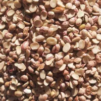 لوبیا چیتی لپه مخصوص اش وخوراک