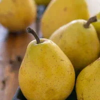 تولید نهال گلابی شاه میوه|خدمات باغبانی و درختکاری|فریدونشهر, |دیوار