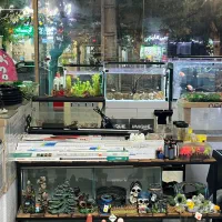 آکواریوم سینا رشت