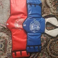 هوگو کونگ فو