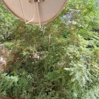 ویلا-705متر-متل-قو-سازه-20-ساله-کوچه-تختی