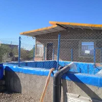 فروش باغ|فروش خانه و ویلا|شبستر, |دیوار