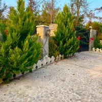 ویلایی با ۳۰۹ متر در قاضیان سنگر|فروش خانه و ویلا|رشت, استادسرا|دیوار