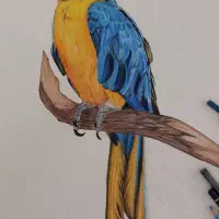قبول سفارش نقاشی حیوانات