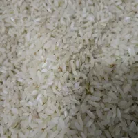 برنج کامفیروزی اعلا|خوردنی و آشامیدنی|شیراز, کیان شهر|دیوار