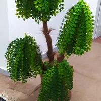 درختچه