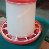دونه خوری پرنده